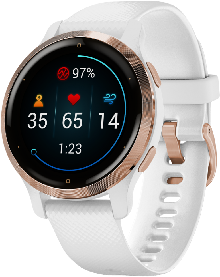 Часы Garmin Venu 2S Pink Gold