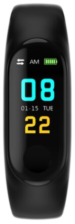 Фитнес-браслет Smarterra Fitmaster Color Black