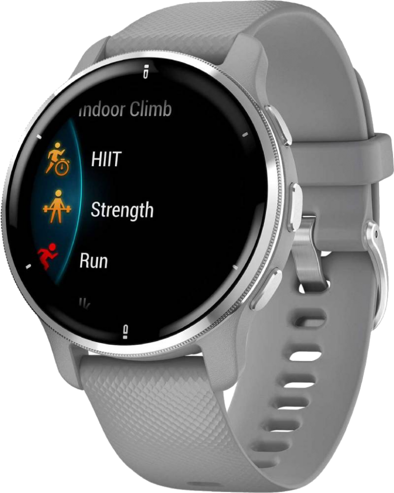 Часы Garmin Venu 2 Plus  Серые