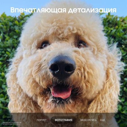 Смартфон Samsung Galaxy S23 5G 8/256Gb Лавандовый