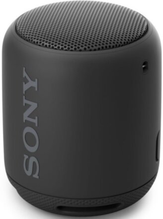 Портативная акустическая система Sony SRS-XB12 Black