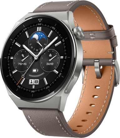 Часы HUAWEI Watch GT 3 Pro кожаный ремешок Серые (Odn-B19V)