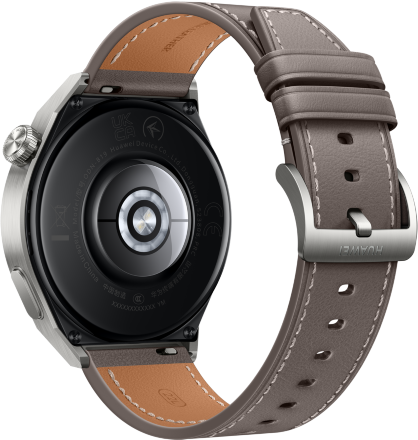 Часы HUAWEI Watch GT 3 Pro кожаный ремешок Серые (Odn-B19V)