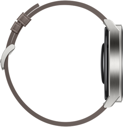 Часы HUAWEI Watch GT 3 Pro кожаный ремешок Серые (Odn-B19V)