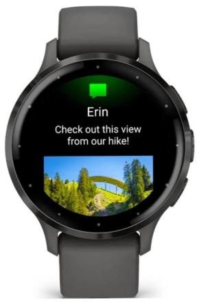 Часы Garmin Venu 3s Серые