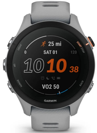 Часы Garmin Forerunner 255S Powder Серые