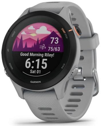 Часы Garmin Forerunner 255S Powder Серые