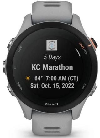 Часы Garmin Forerunner 255S Powder Серые