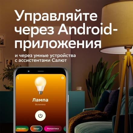 Умная лампочка СберДевайсы C37 (E14), SBDV-00117