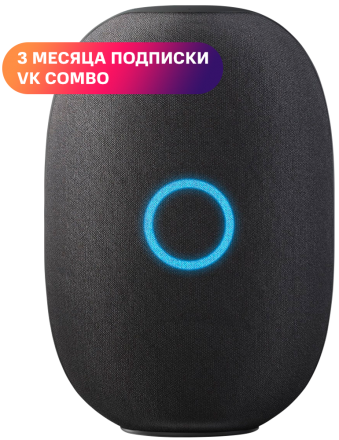 Умная колонка Капсула с голосовым помощником Марусей от VK, Темно-серая Капсула с голосовым помощником Марусей от VK, Темно-серая